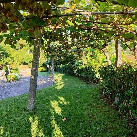 Quinta De Requeixo-1788 Semesterbostad Vieira do Minho
